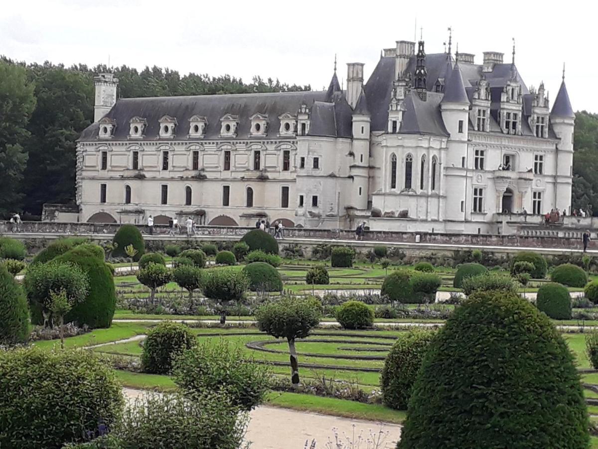 Les Hirondelles Bed & Breakfast Onzain Exterior photo